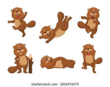 Collection of cartoon illustrations with beaver performing different actions. Colorful cute character.