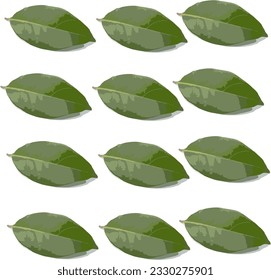 
collection of cartoon leaves or wallpaper