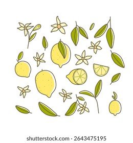 Collection of cartoon lemons, slices, flowers and leaves. Vector illustration set with citrus fruits on white background.