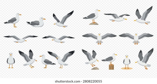 A collection of cartoon seagulls in various poses, including standing, flying, and resting, against a transparent background.