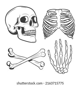 A collection of cartoon skulls