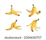 Collection Of Cartoon Vector Banana Peels In Different Positions. Each Peel Has A Unique Shape And Some Brown Spots