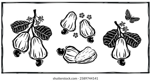 Collection of cashew, chestnut, fruits, flowers and compositions. Illustration in the style of cordel, woodcut. Vectors isolated on white background.