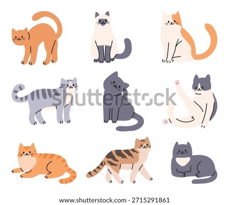A collection of cat in different poses. Vector illustration in a flat style