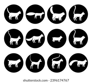 Collection cat icon set. Vector
