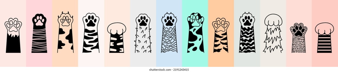 Colección de pezuña de gato. Pata de perro. Raza de gato. Pie animal de perro, gatito lindo de dibujos animados y patas de cachorro, pies de animales salvajes y domésticos. Gatito de dibujo vectorial, perro de diferente raza en fondo de color.