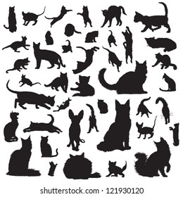 Collection of cat silhouettes