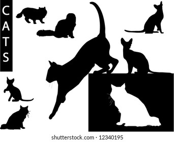 A collection of Cat silhouettes - Check out my portfolio for other collections.