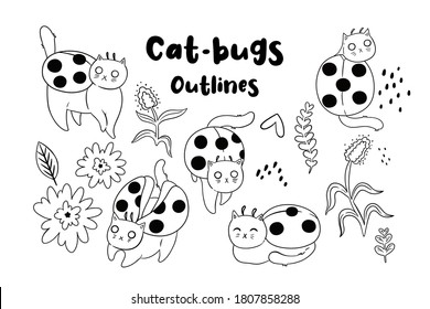 Collection of cat-beetles outlines on white background. Vector graphics.