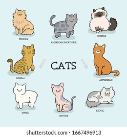 Collection Cats of Different Breeds.