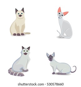 Collection Cats of Different Breeds. Vector isolated cat on white background. Home animal or pets.