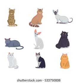 Collection Cats of Different Breeds. Vector isolated cat on white background. Home animal or pets. Fanny kittens faces