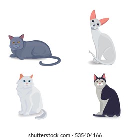 Collection Cats of Different Breeds. Vector isolated cat on white background