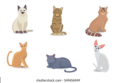 Collection Cats of Different Breeds. Vector isolated cat on white background. Home animal or pets. Fanny kittens faces