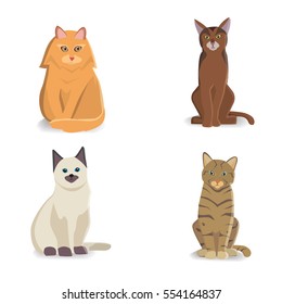 Collection Cats of Different Breeds. Vector isolated cat on white background. Home animal or pets. Funny kittens faces