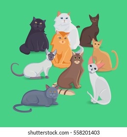 Collection Cats of Different Breeds. Vector Illustration 