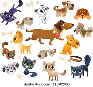 Collection of cats and dogs