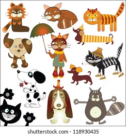 collection of cats and dogs