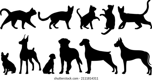 colección de gatos y perros conjunto de silueta, sobre fondo blanco, vector, aislado