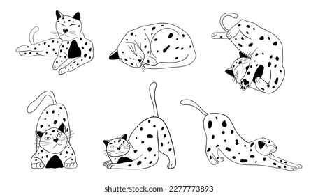 Collection of cats. Funny home pets walking sleeping playing and stretching. Different cat`s poses, emotions and character set. Cute kitty in simple line style. Monochrome isolated vector illustration