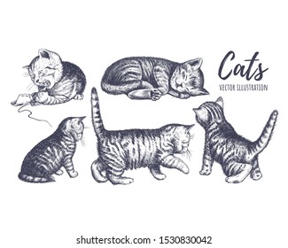 Collection of cats hand drawing. The cat plays, sleeps, sits, runs, curiosity. Pose kitten vector illustration