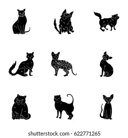 Collection of cats in one picture. Different cats in one picture. Cat breeds icon in set collection on black style vector symbol stock illustration.