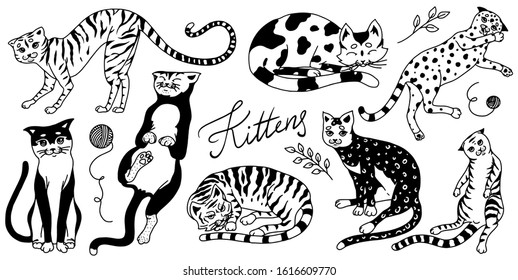 Collection of cats. Washing, playing and sleeping animals. Cute funny Domestic kitty. Hand drawn engraved sketch for banner or t-shirt. Monochrome Vector illustration in outline vintage doodle style