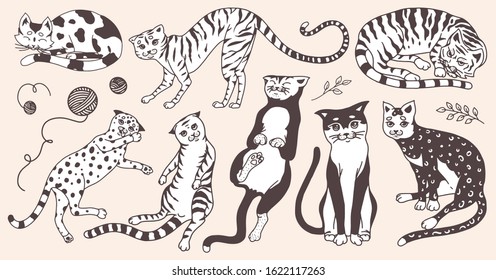 Collection of cats. Washing, playing and sleeping animals. Cute funny Domestic kitty. Hand drawn engraved sketch for banner or t-shirt. Monochrome Vector illustration in outline vintage doodle style