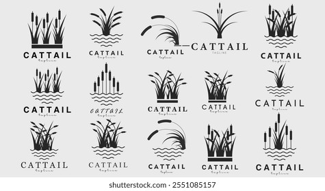 coleção de design de ilustração de vetor de logotipo cattail