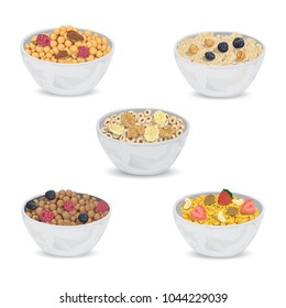 Collection of cereal porridge in bowl with fruits and nuts. Healthy breakfast. Isolated elements. Vector illustration