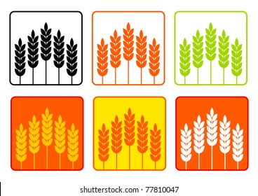 Collection of cereals