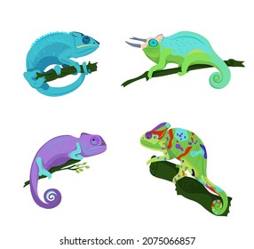 Collection of chameleons of different types and colors sitting on a branch on a white background, vector illustration.