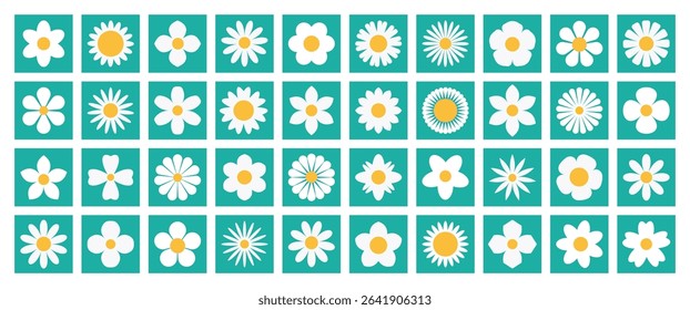 Collection of chamomile daisy flowers vector. White camomile flower icon set featuring simple, cute botanical round flower head on green square background. Spring blossom flat design floral elements.