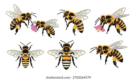 Uma coleção de ilustrações encantadoras de abelhas de mel em várias poses, mostrando seu papel na polinização e a beleza da natureza, perfeito para fins educacionais ou decorativos.