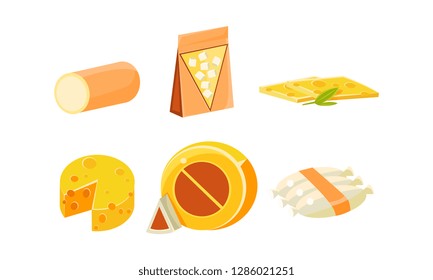 Collection of cheese assortment, various types of cheese vector Illustration