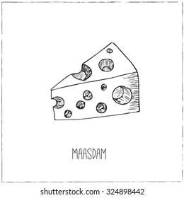 Collection of cheese. Cut sliced cheese assortment. Vector illustration  for design menus, recipes and packages product.
