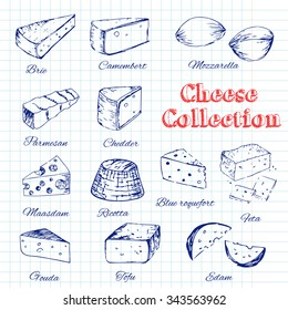 Collection of cheese on a dark background. Cut sliced cheese assortment. Decorative icons set. Vector illustration/