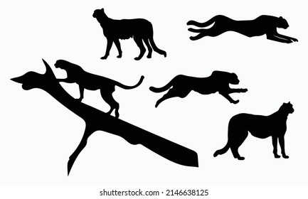 Collection of cheetah silhouette set Isolate on white background vector illustration 