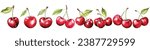 Collection of Cherries Watercolor Vector