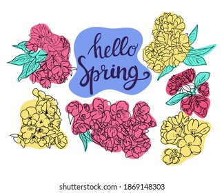 Colección de elementos de diseño de boceto de cerezo y manzana. Puede utilizarse para el diseño de patrones, logotipos, plantillas, banners, carteles, invitaciones y tarjetas de felicitación.  