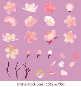 The collection of cherry blossom or sakura in flat vector style. Graphic resource for background, graphic,content, sticker.