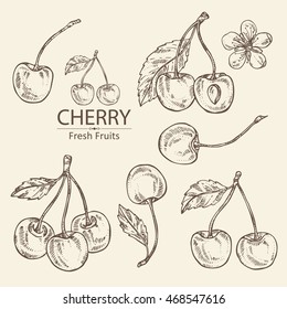 Collection of cherry . hand drawn