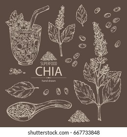 Collection of chia: cocktail with chia and blueberries, plant and seeds. Superfood. Vector set hand drawn illustration