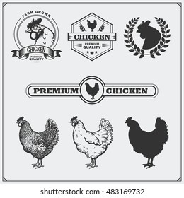 Collection of Chicken meat labels, badges, emblems and design elements.