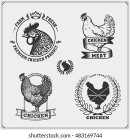 Collection of Chicken meat labels, badges, emblems and design elements.