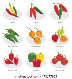 collection of chili pepper in vector