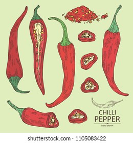 Collection of chilli pepper: a piece of hot pepper, seeds and whole chilli pepper. Vector hand drawn illustration.