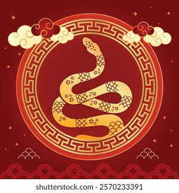  collection for chinese new year festival