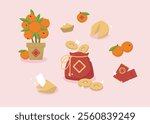  A collection of Chinese new year items. Tangerines, fortune cookie, money bag, coins, money pocket. Cartoon vector illustration.