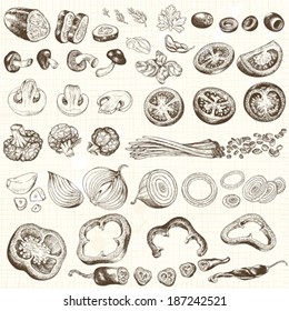 Collection of chopped vegetables, hand-drawn illustration.